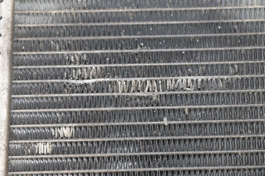 photo de RADIADOR PEUGEOT SATELIS 125 (2006 - 2009)
