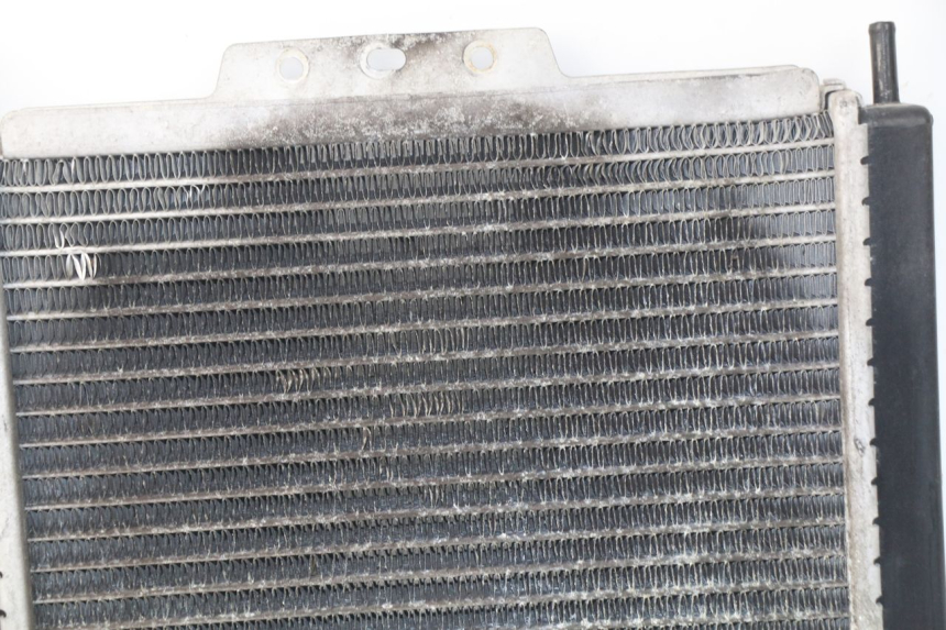 photo de RADIADOR  PEUGEOT SATELIS 300 (2012 - 2015) - Vista general del producto