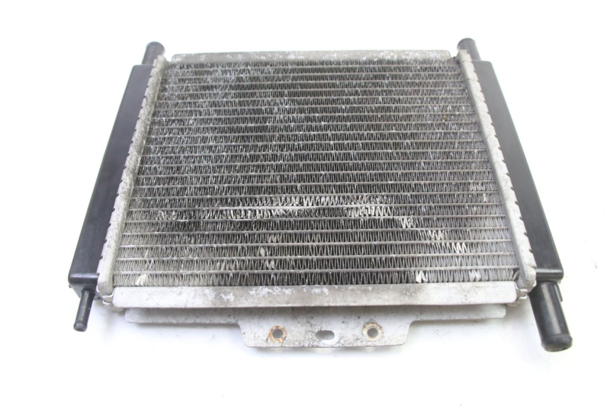 photo de RADIADOR  PEUGEOT SATELIS 250 (2006 - 2012)