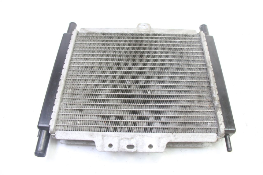 photo de RADIADOR  PEUGEOT SATELIS 250 (2006 - 2012)