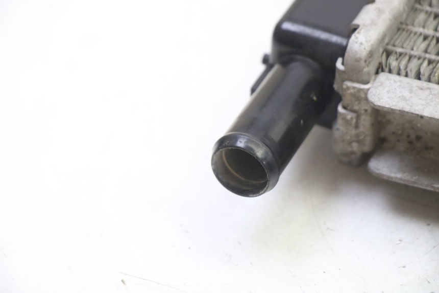 photo de RADIADOR  PEUGEOT SATELIS 250 (2006 - 2012)