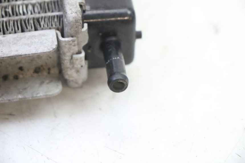 photo de RADIADOR  PEUGEOT SATELIS 250 (2006 - 2012)