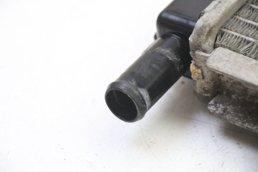 photo de RADIADOR  PEUGEOT SATELIS 250 (2006 - 2012)