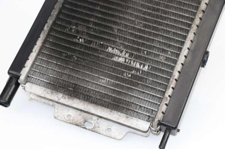 photo de RADIADOR PEUGEOT SATELIS 125 (2010 - 2012)