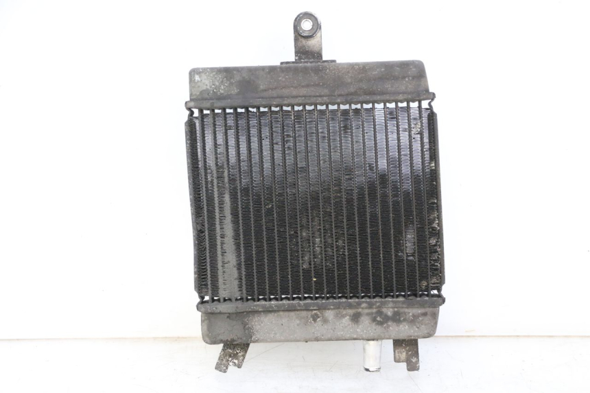 photo de RADIADOR  SUZUKI BURGMAN 125 (2015 - 2017)