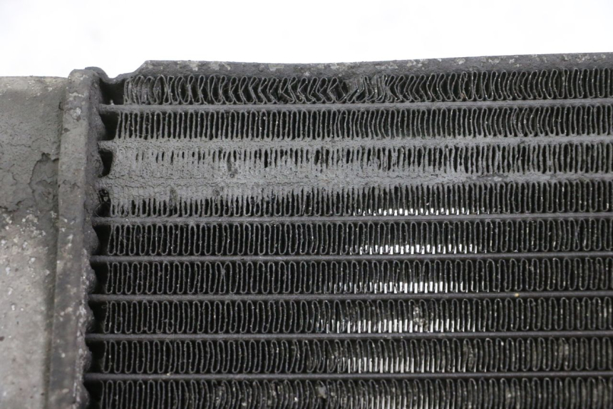 photo de RADIADOR  SUZUKI BURGMAN 125 (2015 - 2017)