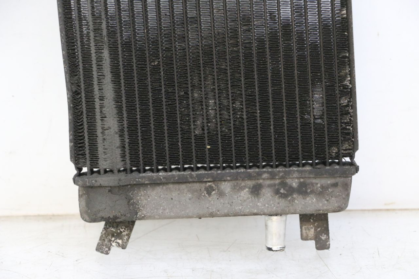 photo de RADIADOR  SUZUKI BURGMAN 125 (2015 - 2017)
