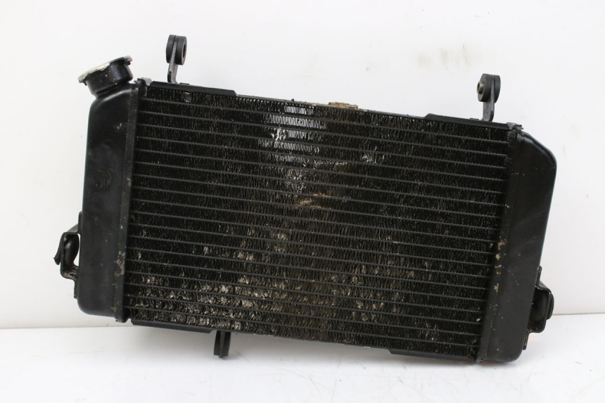 photo de RADIADOR SUZUKI SV S 650 (1999 - 2002)