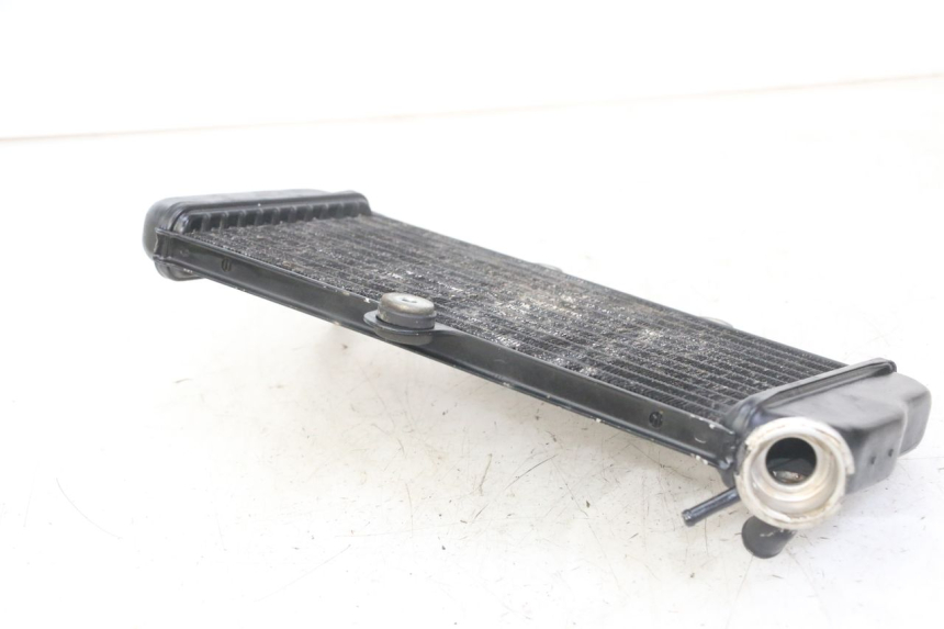photo de RADIADOR YAMAHA TDR DELTABOX 125 (1993 - 2003)