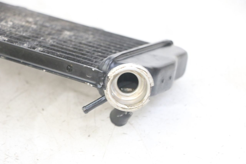 photo de RADIADOR YAMAHA TDR DELTABOX 125 (1993 - 2003)