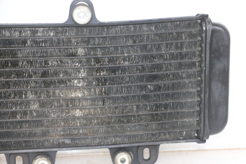 photo de RADIADOR YAMAHA TDR DELTABOX 125 (1993 - 2003)