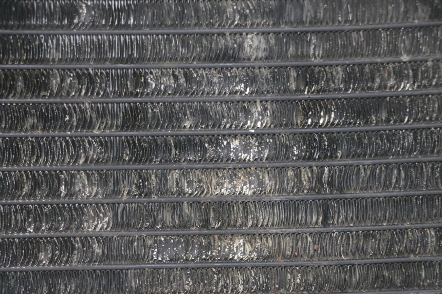 photo de RADIADOR YAMAHA TDR DELTABOX 125 (1993 - 2003)