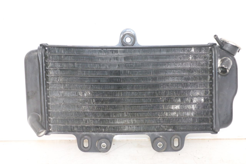 photo de RADIADOR YAMAHA TDR DELTABOX 125 (1993 - 2003)