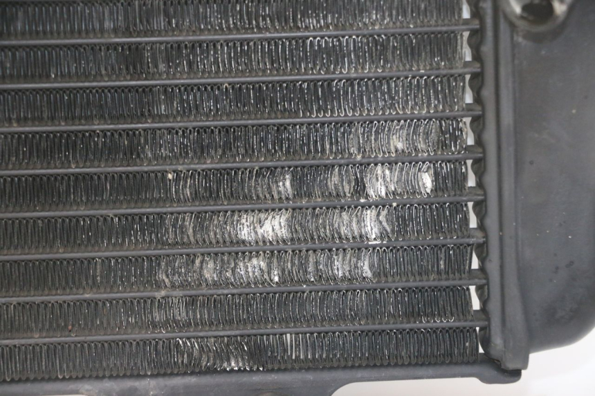 photo de RADIADOR YAMAHA TDR DELTABOX 125 (1993 - 2003)