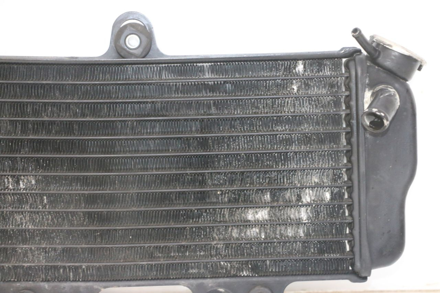 photo de RADIADOR YAMAHA TDR DELTABOX 125 (1993 - 2003)