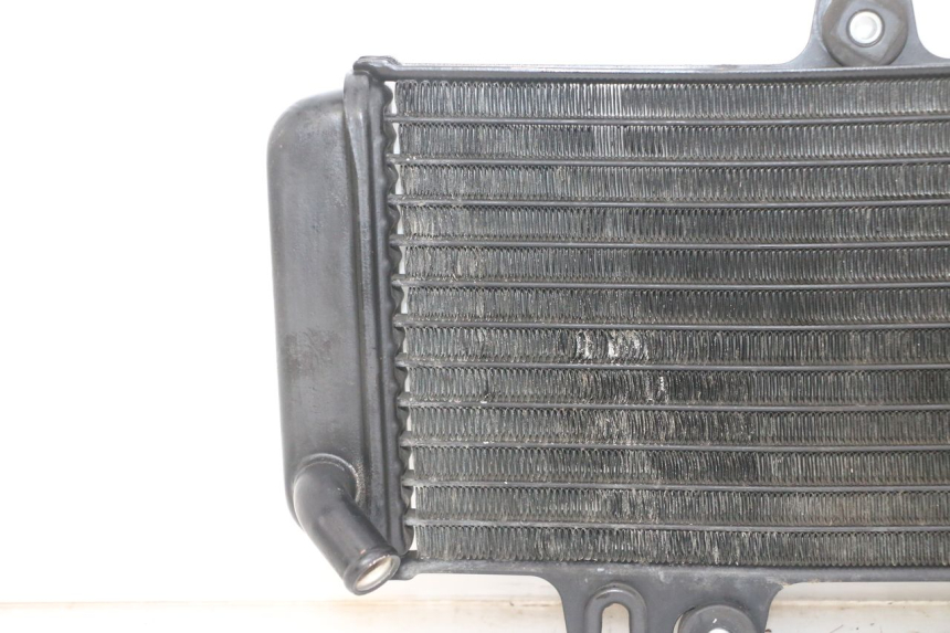 photo de RADIADOR YAMAHA TDR DELTABOX 125 (1993 - 2003)