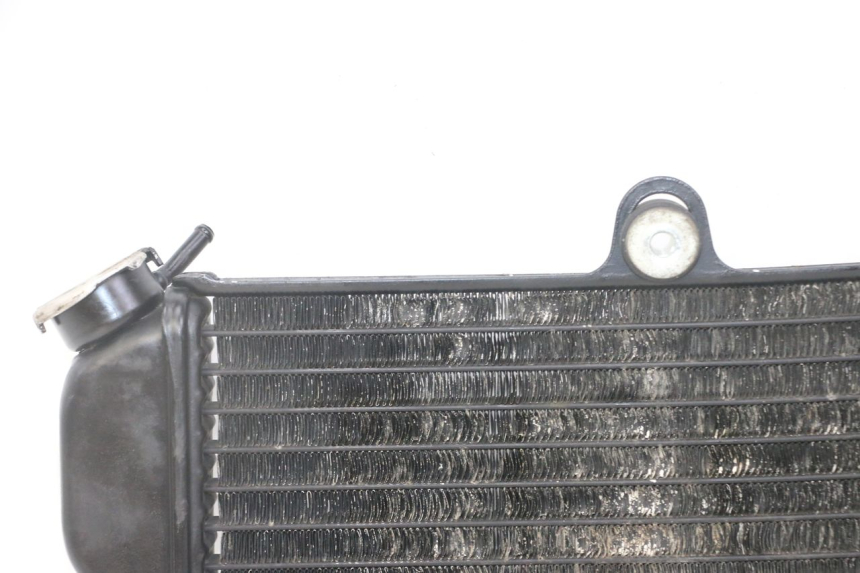 photo de RADIADOR YAMAHA TDR DELTABOX 125 (1993 - 2003)