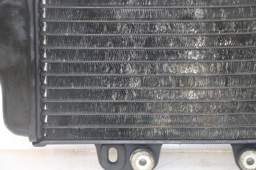 photo de RADIADOR YAMAHA TDR DELTABOX 125 (1993 - 2003)