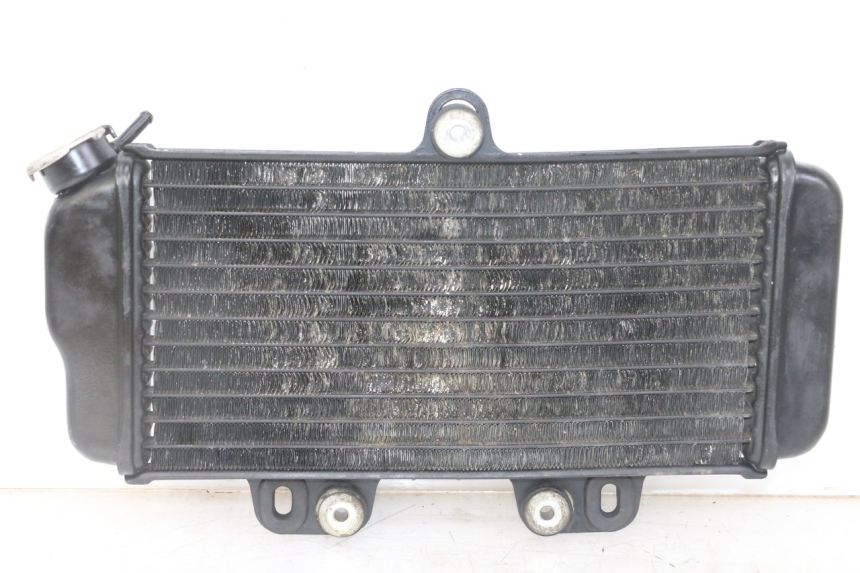 photo de RADIADOR YAMAHA TDR DELTABOX 125 (1993 - 2003)