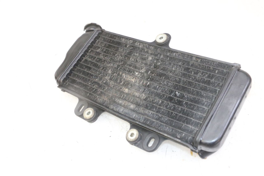 photo de RADIADOR YAMAHA TDR DELTABOX 125 (1993 - 2003)