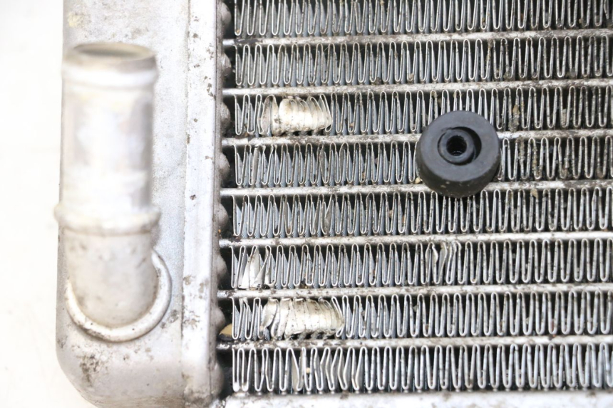 photo de RADIADOR  YAMAHA X-CITY XCITY 125 (2007 - 2008)