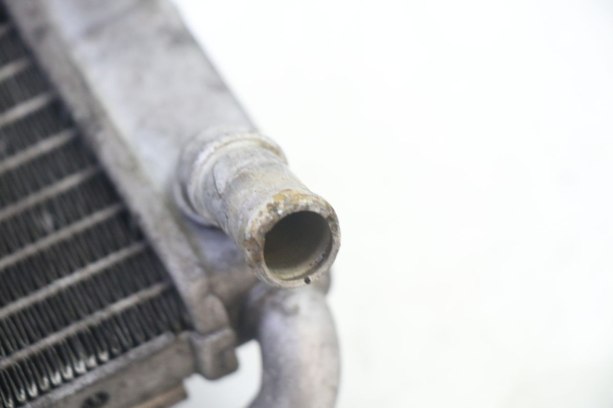 photo de RADIADOR YAMAHA X-MAX XMAX 125 (2010 - 2014)