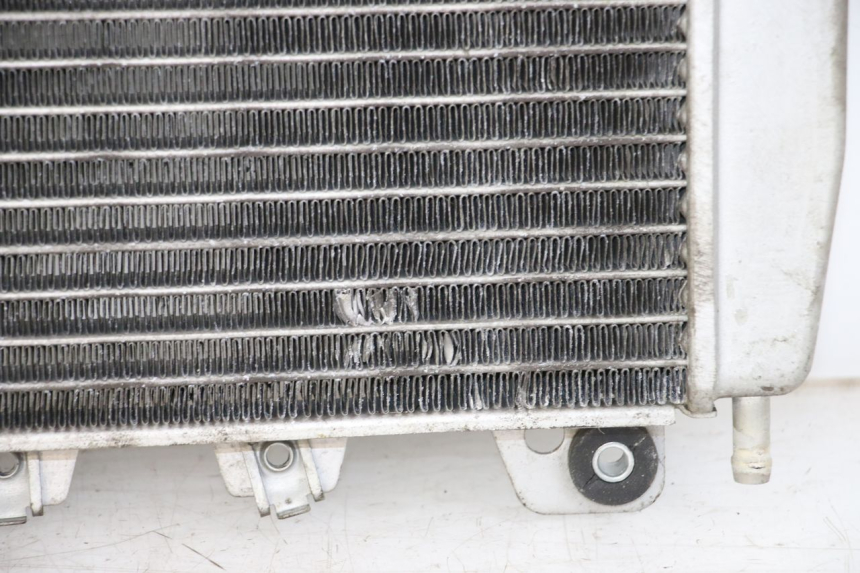 photo de RADIADOR PIAGGIO X10 125 (2012 - 2017)