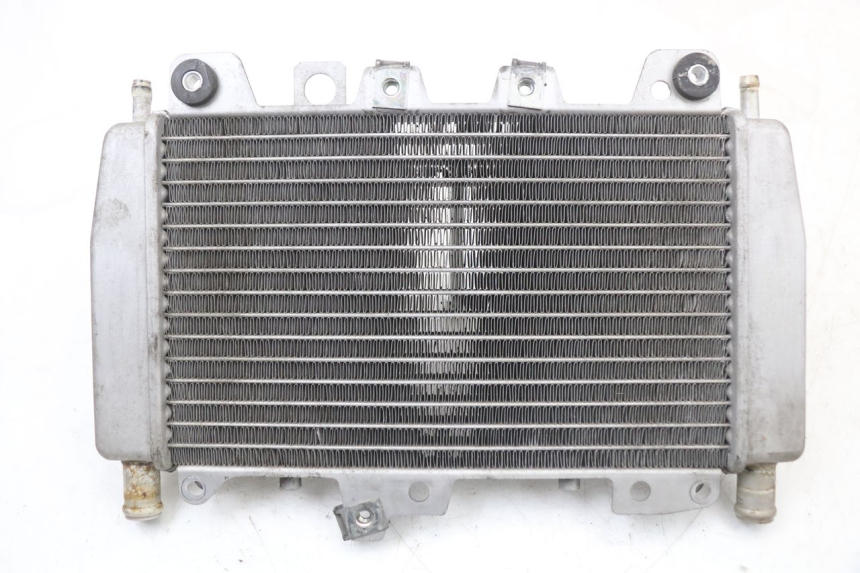photo de RADIADOR PIAGGIO X10 125 (2012 - 2017)