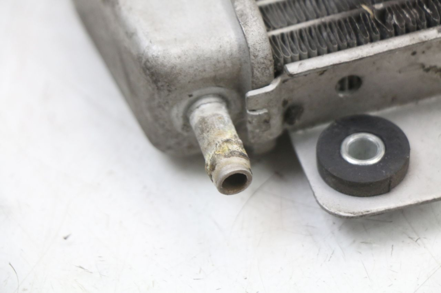 photo de RADIADOR PIAGGIO X10 125 (2012 - 2017)