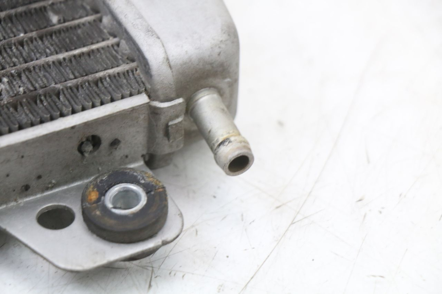 photo de RADIADOR PIAGGIO X10 125 (2012 - 2017)