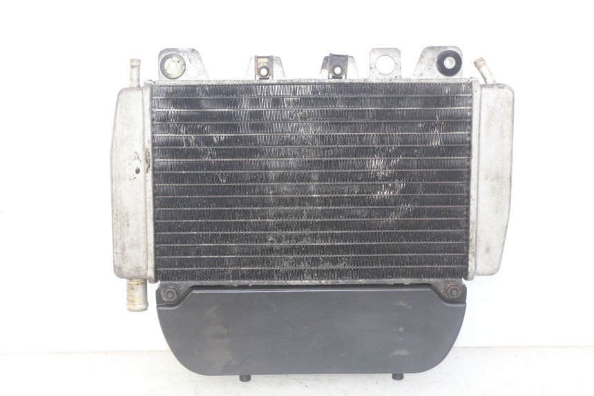 photo de RADIADOR PIAGGIO X9 EVOLUTION 250 (2003 - 2007)