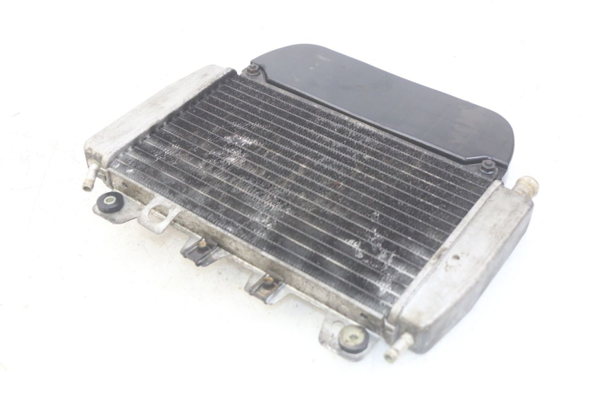 photo de RADIADOR PIAGGIO X9 EVOLUTION 250 (2003 - 2007)