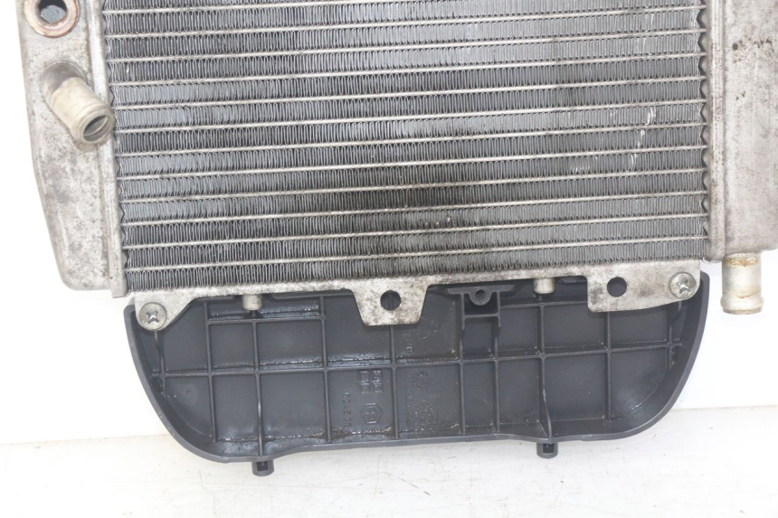 photo de RADIADOR PIAGGIO X9 EVOLUTION 250 (2003 - 2007)