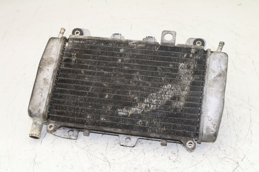 photo de RADIADOR PIAGGIO X9 125 (2000 - 2003)