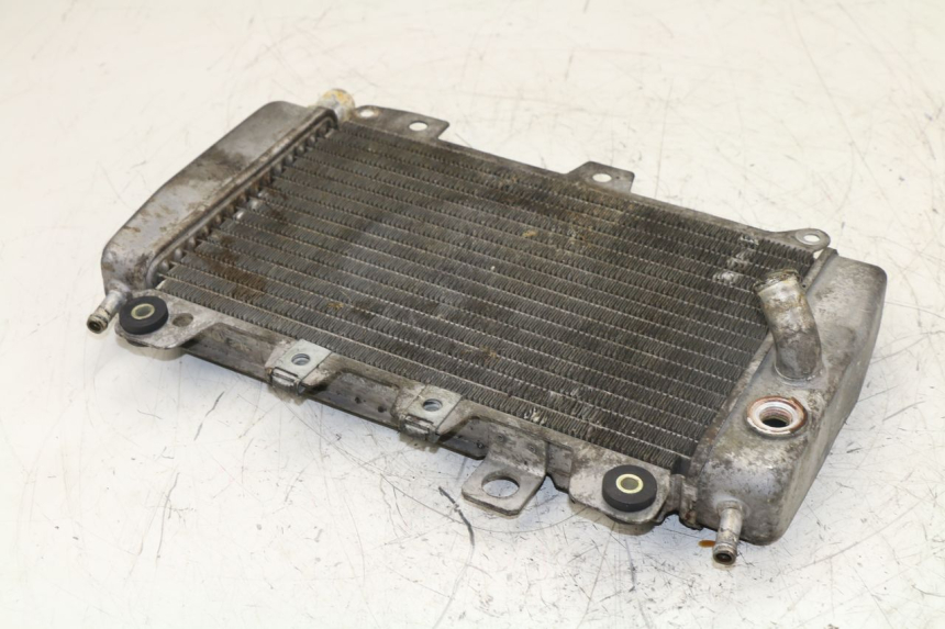 photo de RADIADOR PIAGGIO X9 125 (2000 - 2003)