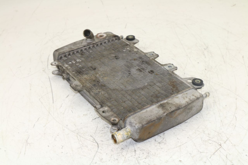photo de RADIADOR PIAGGIO X9 125 (2000 - 2003)
