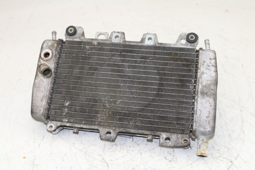 photo de RADIADOR PIAGGIO X9 125 (2000 - 2003)