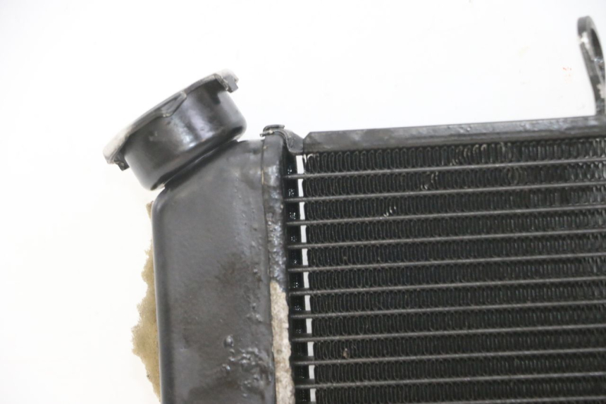 photo de RADIADOR  YAMAHA XJ6 ABS 600 (2008 - 2016)
