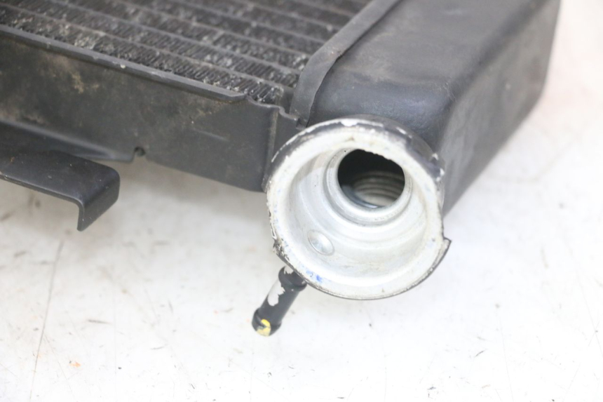 photo de RADIADOR  HONDA XLV VARADERO 125 (2000 - 2006)