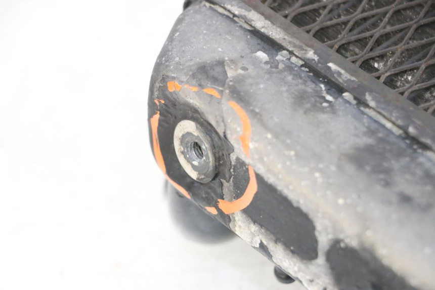 photo de RADIADOR  YAMAHA FZS FAZER 600 (2001 - 2003)