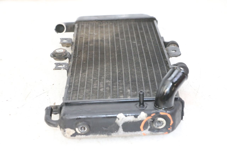 photo de RADIADOR  YAMAHA FZS FAZER 600 (2001 - 2003)