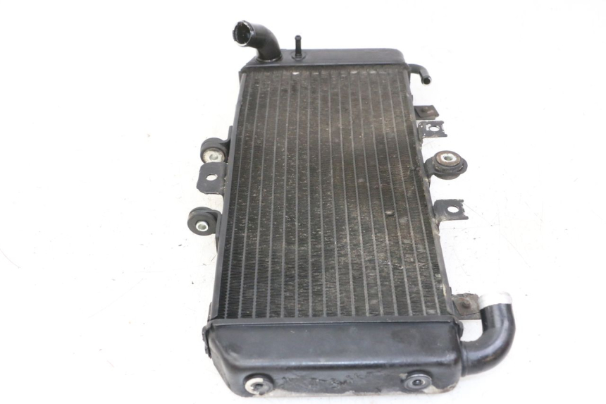 photo de RADIADOR  YAMAHA FZS FAZER 600 (2001 - 2003)