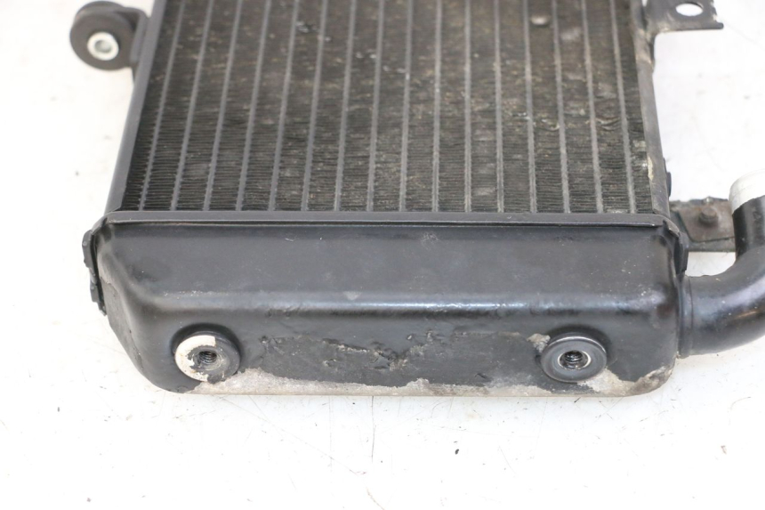 photo de RADIADOR  YAMAHA FZS FAZER 600 (2001 - 2003)