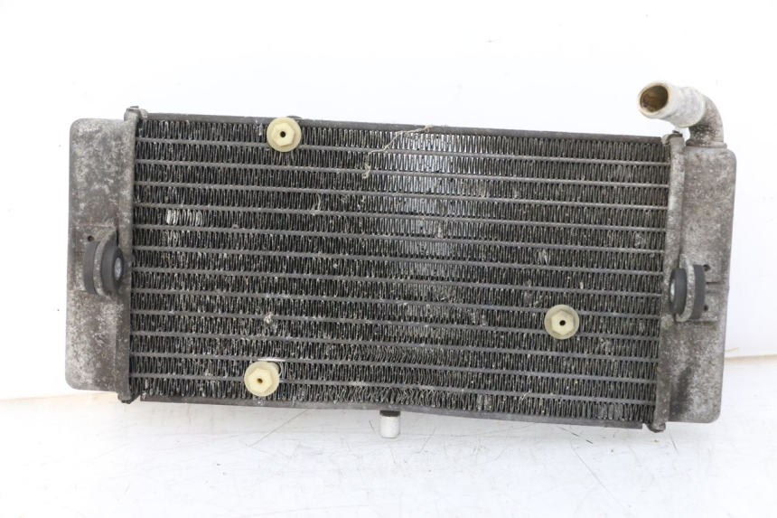 photo de RADIADOR YAMAHA X-MAX XMAX ABS 250 (2010 - 2014)