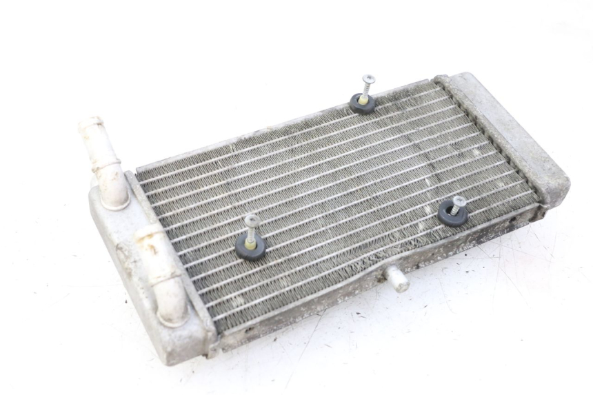 photo de RADIADOR YAMAHA X-MAX XMAX ABS 250 (2010 - 2014)