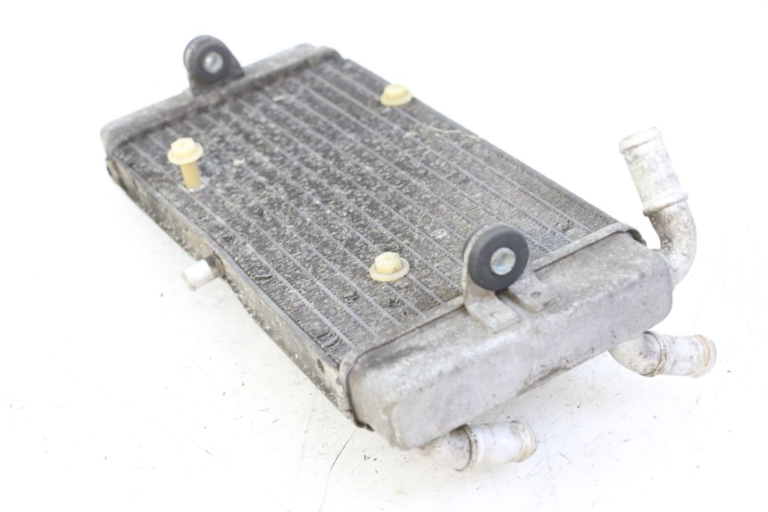 photo de RADIADOR YAMAHA X-MAX XMAX ABS 250 (2010 - 2014)