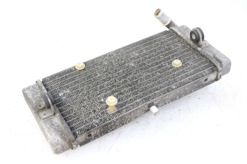 photo de RADIADOR YAMAHA X-MAX XMAX ABS 250 (2010 - 2014)