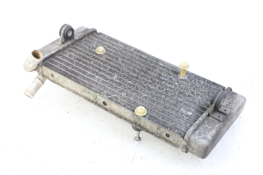 photo de RADIADOR YAMAHA X-MAX XMAX ABS 250 (2010 - 2014)