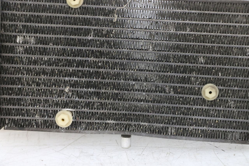 photo de RADIADOR YAMAHA X-MAX XMAX ABS 250 (2010 - 2014)