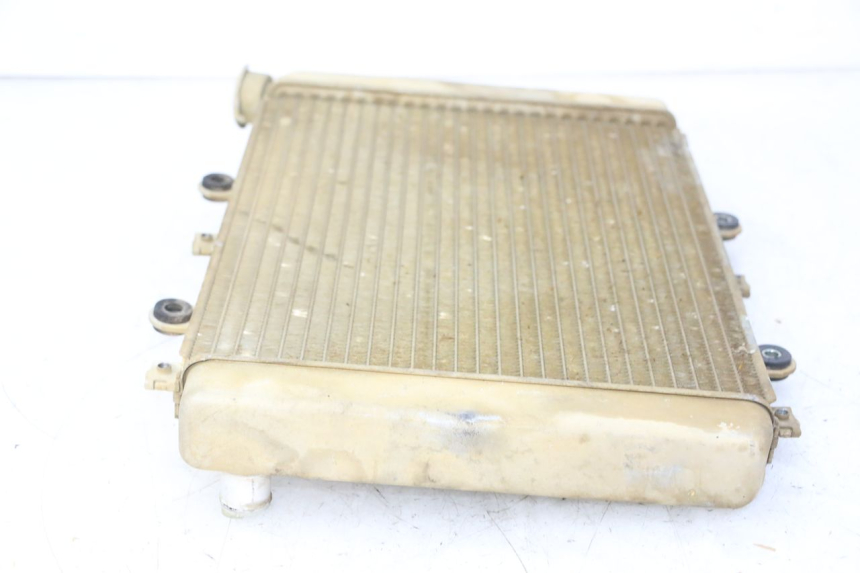 photo de RADIADOR  YAMAHA YFM GRIZZLY 550 (2008 - 2015)